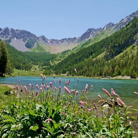 L'Oxalys Studio ! Coin Montagne - Pied Des Pistes & Centre Ville Briançon Zewnętrze zdjęcie